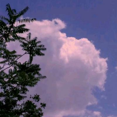 ManBetX网页版登录